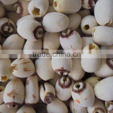 VIETNAMESE SUPPLIER OF WHITE LOTUS SEEDS BEST PRICE