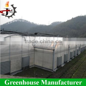 High quality tube frame vegetable agricultural greenhouse