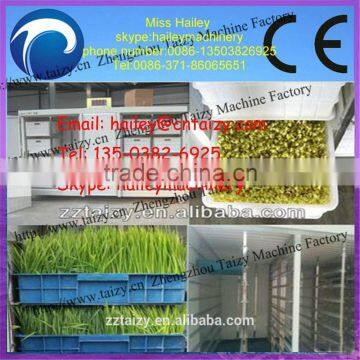 bean sprout growing machine-automatic bean sprout machine