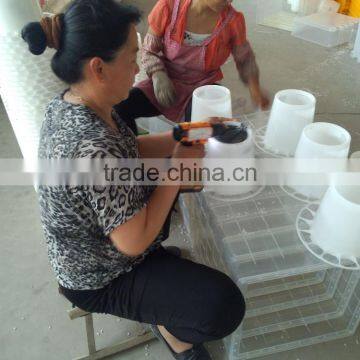 Cheap Chicken Feeder and Drinker for Sale photo-6