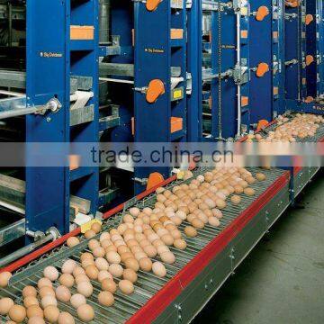 Automatic egg collection system for chicken farm