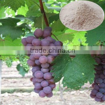 Amino Acid Chelate Raw Material Manufacturer/amino acid soluble fertilizer