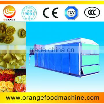 Fruit and vegetable dryer processing line