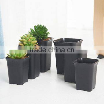 High quality square succulent plants plastic black decoration flower pot