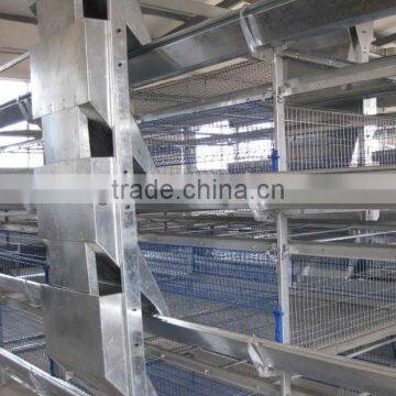 poultry in dubai chicken cage