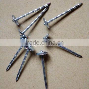 Twisted Shank Galvanized Umbrella Head Roofing Nails