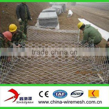 hexagonal wire mesh Manufacturer