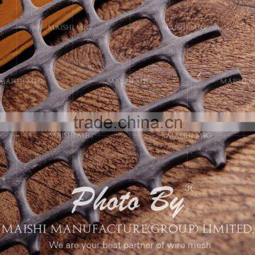 Square Mesh Plastic Netting photo-3