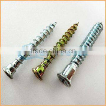 China Factory Sales Stainless Steel Furniture Screws and Fasteners photo-2