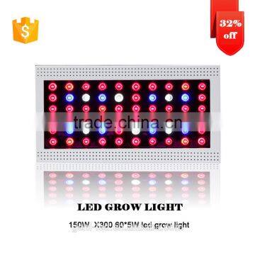 Low Price Aaa Quality High Power Seeds Vegetables From Shenzhen Factory photo-2