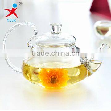 Eco-friendly heat resistant new designed glass tea pot transparent coffee pot