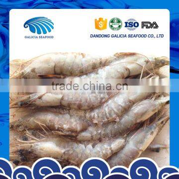 Frozen Vannamei White Shrimp