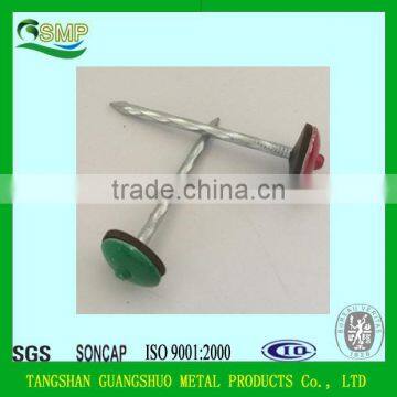 Umbrella head roofing nails, hot sale galvanized roofing nails