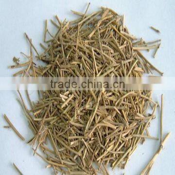 Ephedra Vulgaris photo-4