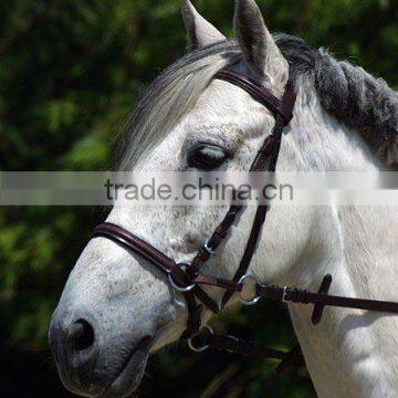 leather bridle