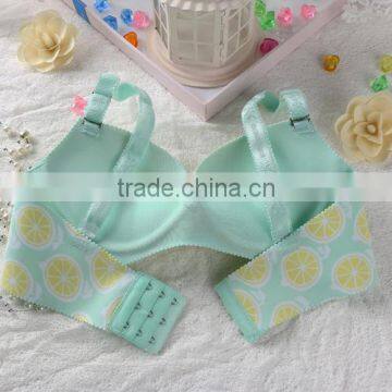 New Design of Pictures Beautiful Sexy Penty Ladies Bra Designs Seamless photo-4