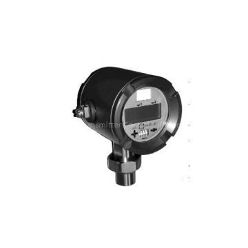 Kubler Level Transmitter