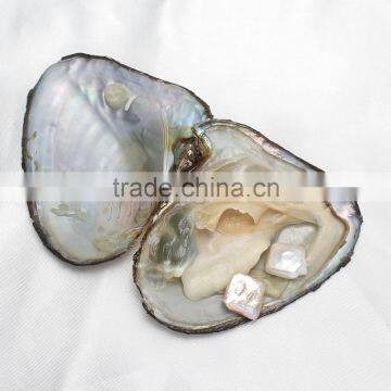 Raw pearls freshwater cultured love 10x10mm oysters wish pearls