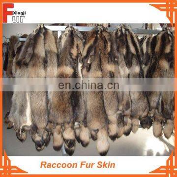 Real & Dressed Raccoon Fur Skin