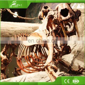 Amusement play dinosaur skeleton statue for hot selling