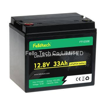 Deep Cycle 12V 24V 48V 100Ah LiFePO4 Battery Pack Replacement Lead Acid Battery photo-3