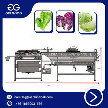 Fruit Washing Machine Stainless Steel Vortex Type Vegetable Washing Machine