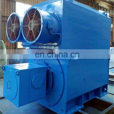 10kv High Voltage Low Rpm Electric ac Motor photo-5