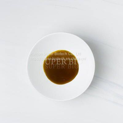 Frying Foods Antioxidant Rosemary Extract-Innovative Antioxidants Rosemary Antioxidant for Seasoning photo-2