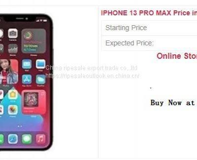 IPHONE 13 PRO MAX