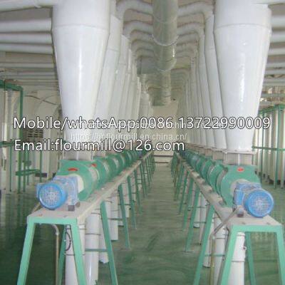 Maize Flour Mill Machine Corn Flour Machinery Maize Milling Plant Kenya Zambia Tanzania Nigeria photo-3