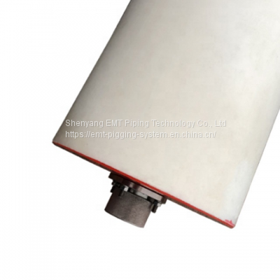 Foam Pig With Transmitter photo-2