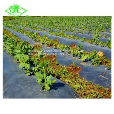 UV Resistant Ldpe Film Plastic Mulch Film Used for Agriculture Greenhouse or Gardening Crops