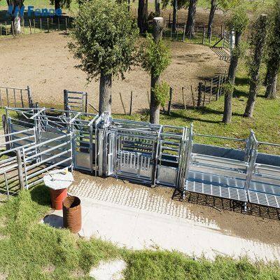 Heißtauchverzinktes kohlenstoffarmes Stahlmaterial, mit Pulverlack beschichtet, umweltfreundlich, für Vieh- und Pferdesicherheitseinzäunungen, 6 ft faltbar