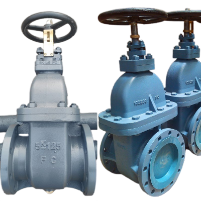 JIS Cast Iron Non Rising Stem Flange Gate Valve Sea Water 5K 10K 16K F7364 Marine Valve photo-5