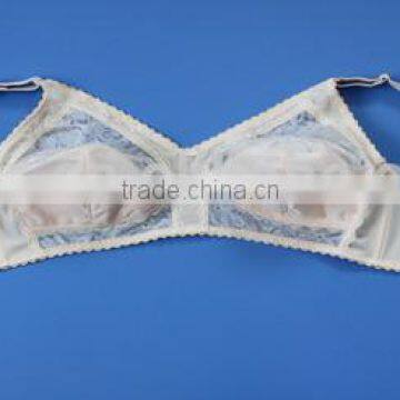 wholesale nude thin sexy lace ladies bra,satin transparent women bra