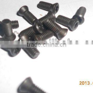 Torx screws