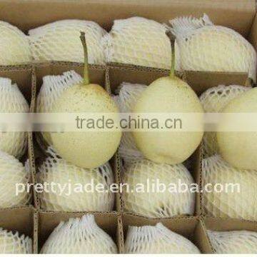 Chinese fresh Ya pear-9kg carton