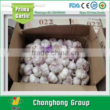 2016 crop chinese red garlic factory directly supply