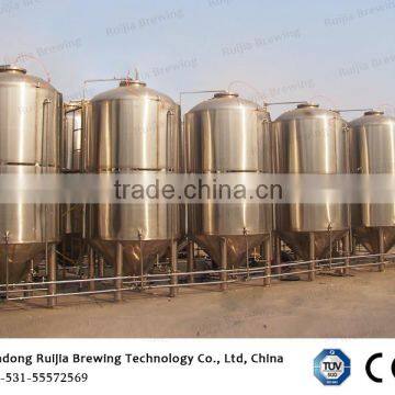 RJ-1000L fermentation vessel for beer processing