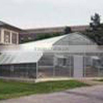 PE greenhouse covering film