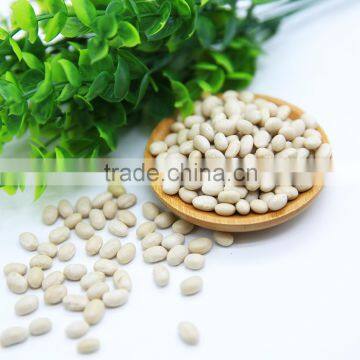 White Kidney Beans (Japanese Type) photo-3