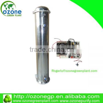 hot recommend 60G quartz ozone generator pipe for water treatment