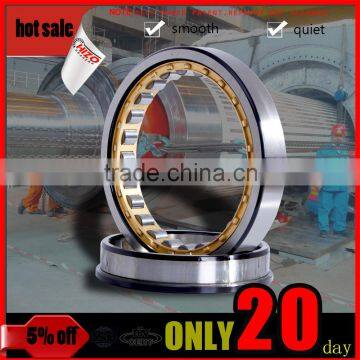 made in China 558830 pilot roller cylindrical bearing