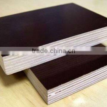 Manufacturer of Film Faced Plywood in China photo-1