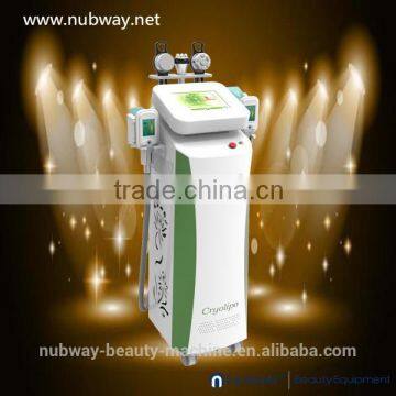 Beautiful Designed Weight Loss Machine / RF--Pro Cryolipo / Slimming Machine Vaccum