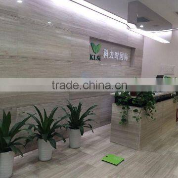 2016 Sales Manufacturer Professional Permanent 808nm Diode Laser Hair Removal Beauty Machine photo-4