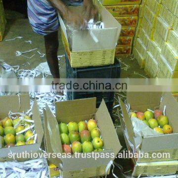 Fresh Mangoes photo-5