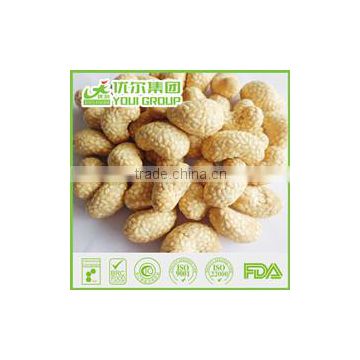 HACCP,ISO,BRC,HALAL Certification Sesame Cashew with best quality and hot price