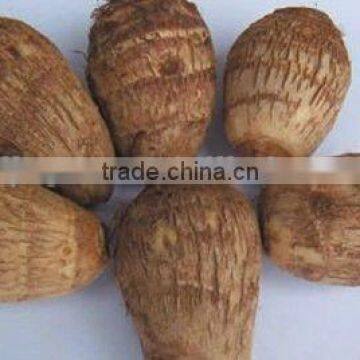 Chinese Fresh Taro