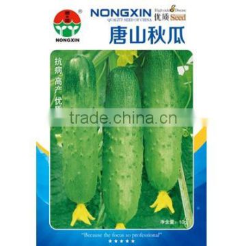 High Quality Chinese Cucumber Seeds For Planting-Tang Shan Autumn Cucumber